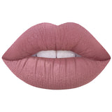 2017 New Lipstick Matte Long Lasting Pigment Nude Lip Tint Hot Brand Holiday Miss Rose Makeup Kit Liquid Matte Red Lipstick