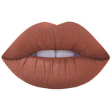 2017 New Lipstick Matte Long Lasting Pigment Nude Lip Tint Hot Brand Holiday Miss Rose Makeup Kit Liquid Matte Red Lipstick